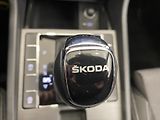 Škoda Superb 2,0 TDI 147kW DSG Style - náhled 16