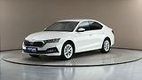 Škoda Octavia 2.0 TDI Style - náhled 1