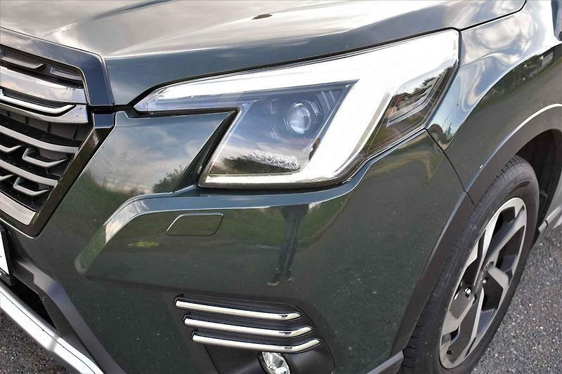 Forester je auto vhodné prakticky do každého počasí i nejrůznějšího prostředí