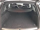 Audi Q7 (2011) 3.0 TDI, 4X4, Automat - náhled 14