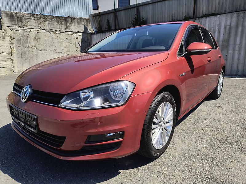 Volkswagen Golf (2014) 1.2 TSI 63KW 4-VÁLEC Z ŘEMENEM - fotka 12 z 66