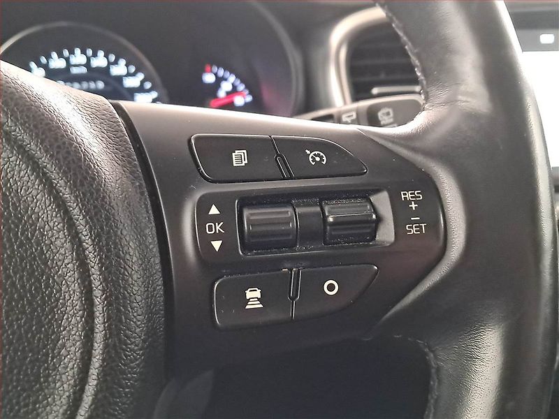 Kia Sorento (2016) Exclusive 2.2 CRDi, 4X4 - fotka 20 z 24