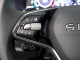 Škoda Octavia (2025) EXCLUSIVE SELECTION 2.0TDI 110 - náhled 21