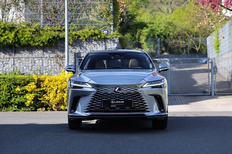 Lexus RX 450h plus 450H+ 2,5 PHEV EXECUTIVE PLUS - fotka 3 z 24