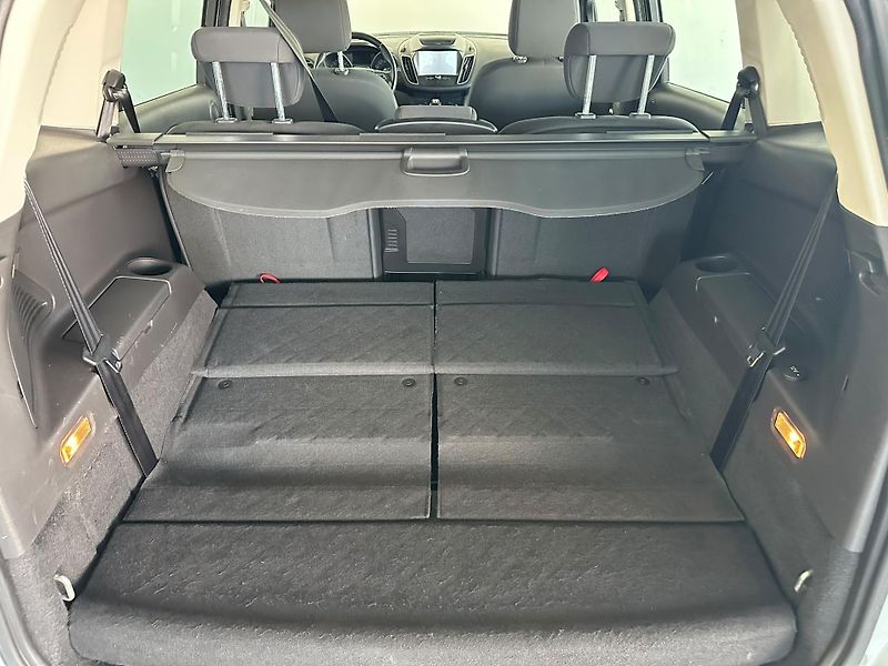 Ford Grand C-MAX (2019) 1.5TDCi,106HP,7 míst - fotka 19 z 19