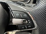 Škoda Octavia 2,0 RS,PANORAMA,TAŽNÉ,KŮŽE - náhled 31