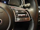 Kia Ceed (2021) 1.5T-GDI, 1.maj,ČR, servis - náhled 14