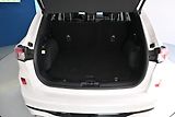 Ford Kuga (2021) 2.5 VIGNALE VIRTUAL LED ACC BO - náhled 8