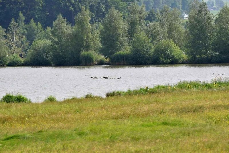 Pro ornitologa ráj, pro běžného turistu zážitek. To je Dračí jezero.