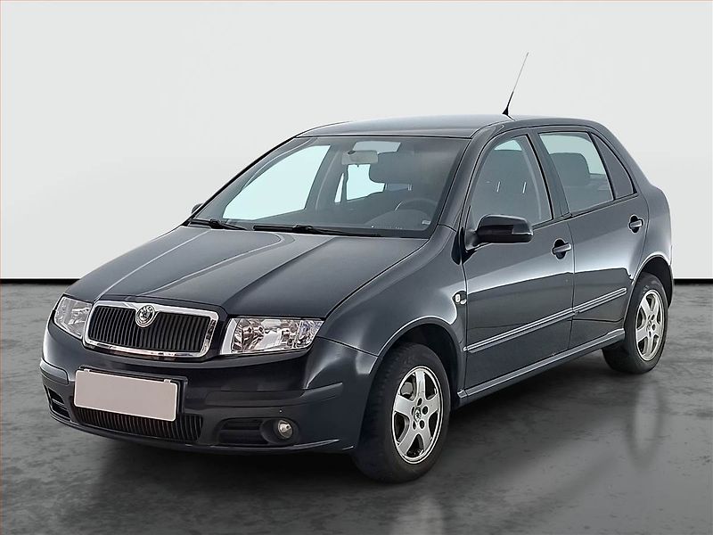 Škoda Fabia (2005) 1.4 16V, po STK, oblíbený vůz - fotka 2 z 13