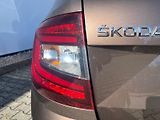 Škoda Octavia (2019) Combi 2.0 TDI DSG 4X4 Scout - náhled 12