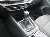 Škoda Octavia 2,0 TDI Style ČR - náhled 13