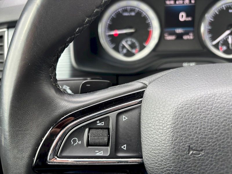 Škoda Kodiaq (2019) 2.0 TDI 140kW 4x4 DSG Nez.Top. - fotka 12 z 35