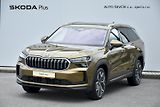Škoda Kodiaq (2024) Exclusive Selection 2.0 TDI 14 - náhled 1