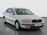 Škoda Octavia (2008) 1.9 TDI, po STK, pěkný stav - náhled 1