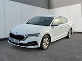 Škoda Octavia (2023) AMBITION 2.0TDI 110kW CZ DPH - náhled 1