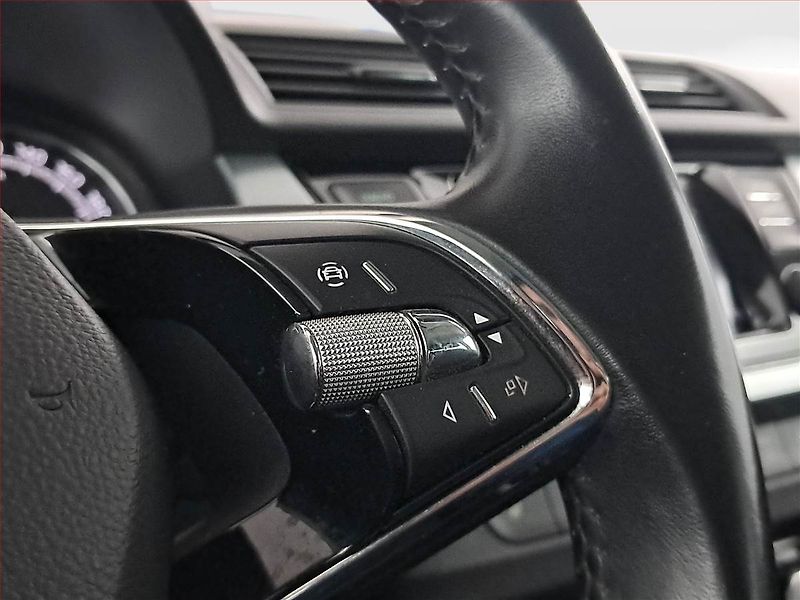 Škoda Fabia (2021) 1.0 TSI, ČR,1.maj, Tempomat - fotka 15 z 19