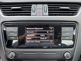 Škoda Octavia 1,6 TDI 81kW 2.maj původ ČR - náhled 38