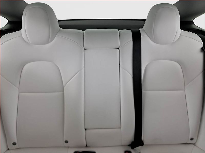 Tesla Model 3 (2019) Long Range 4WD 78kWh, SoH 84% - fotka 10 z 22