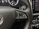 Škoda Kodiaq 2,0 DSG 4X4 CANTON ACC 360° - náhled 12
