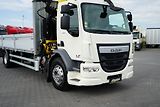 DAF LF (2015) / 250 / SKRZYNIOWY + HDS / HYV - náhled 24