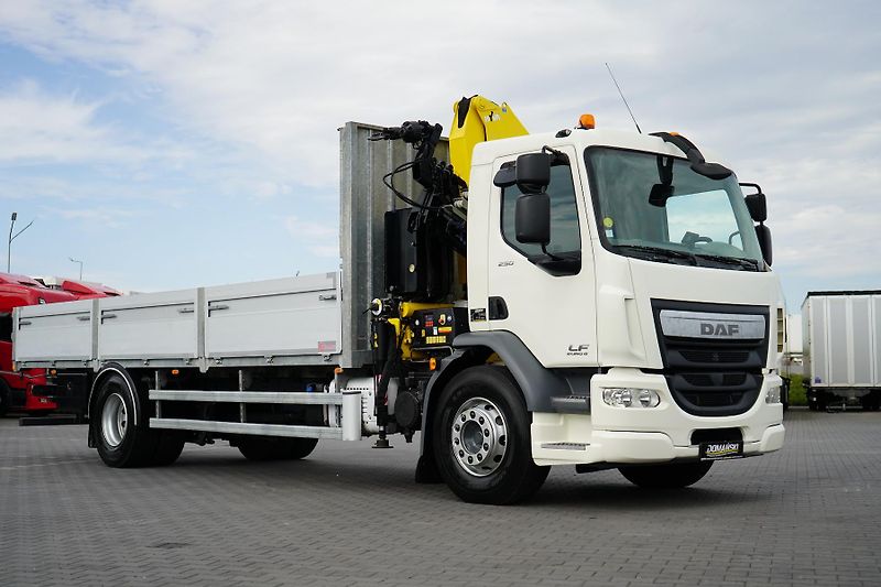 DAF LF (2015) / 250 / SKRZYNIOWY + HDS / HYV - fotka 23 z 52