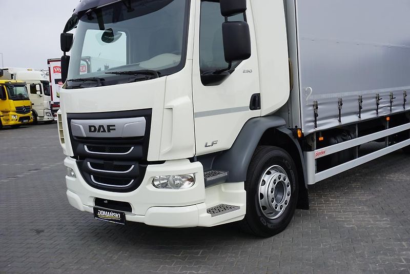 DAF LF (2019) 290 / E 6 / FIRANKA + WINDA /  - fotka 23 z 44