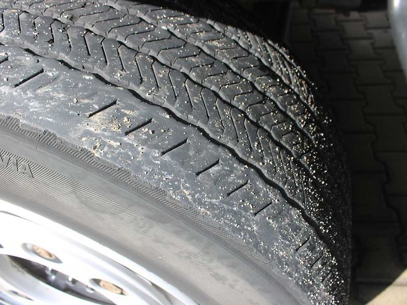 MAN TGX 18.420, BDF, VZDUCHOVÉ PÉROVÁN - fotka 24 z 26