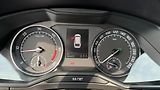 Škoda Superb (2018) 2.0TDi 110kW *ALU*Navi*DSG* - náhled 13