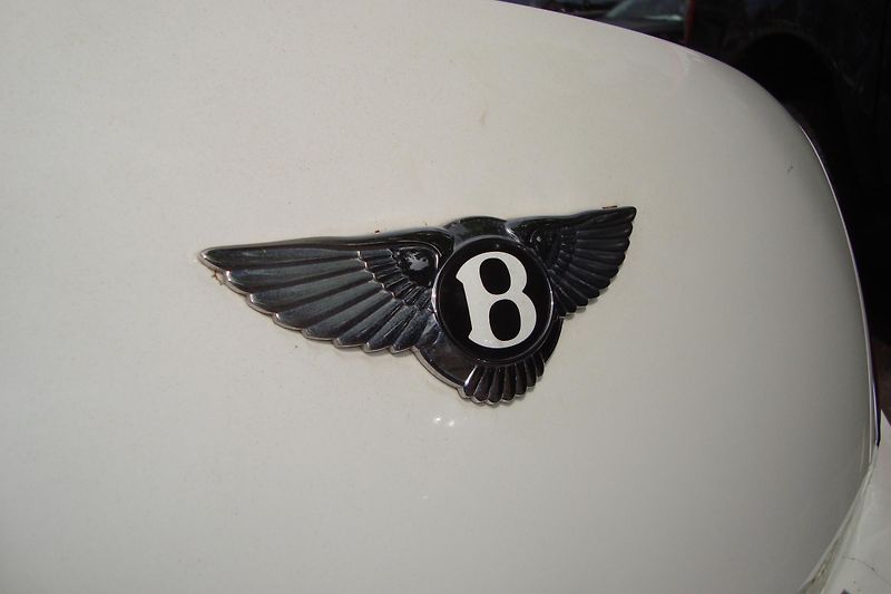 Bentley Continental Flying Spur (2013) SPEED 6.0 W12 - fotka 8 z 49