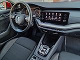 Škoda Octavia 2.0 TDI DSG,původ ČR,1.Maj - náhled 40