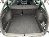 Škoda Octavia 2.0 TSI 4x4 SportLine - náhled 26