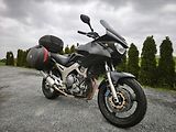 Yamaha TDM 900 (2003) - náhled 1