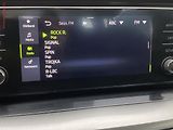 Škoda Octavia (2021) 1.0TSi, ČR, DSG, LED - náhled 15