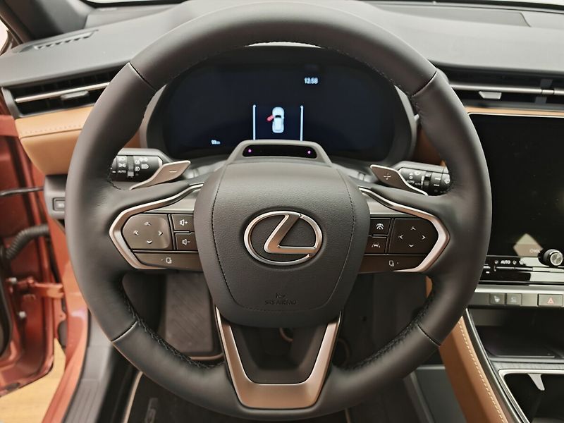 Lexus LBX RELAX ADVANCED - fotka 17 z 40