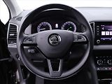 Škoda Karoq 2,0 TDI 110kW DSG CZ Style+ - náhled 19