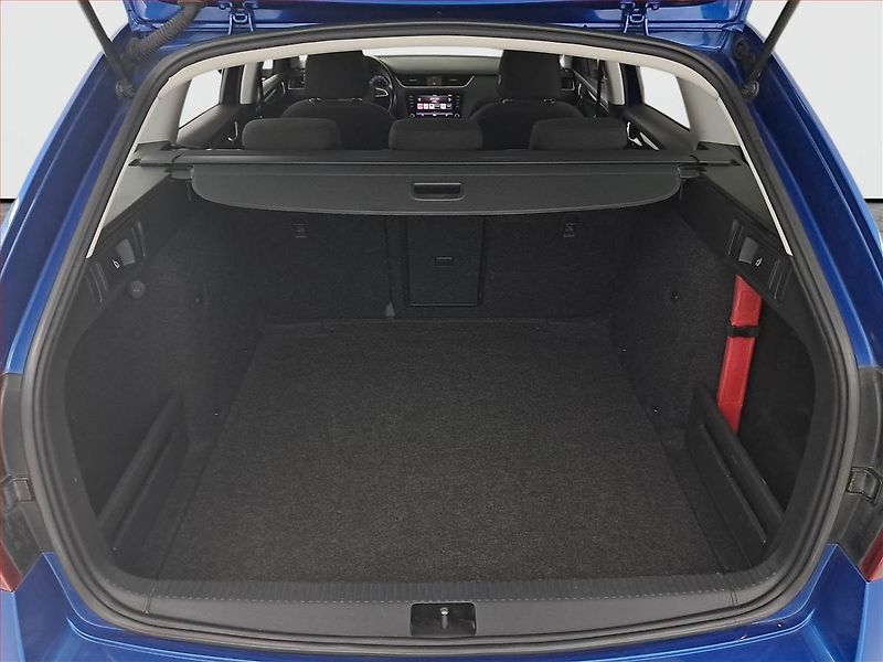 Škoda Octavia (2020) 1.6 TDI, Tempomat - fotka 14 z 16