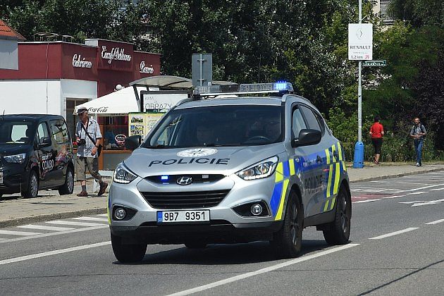 Dopravní hlídky posuzují každý podobný incident individuálně, přičemž policisté zkoumají především rychlost vozidla a možnost řidiče bezpečně se překážce vyhnout., zdroj: Nxr-at/Wikimedia CC BY 4.0