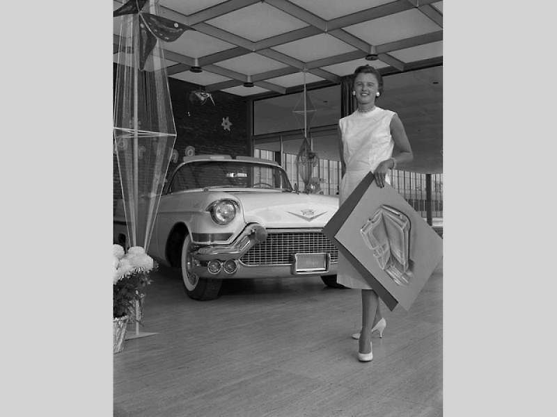 Sue Vanderbilt GM