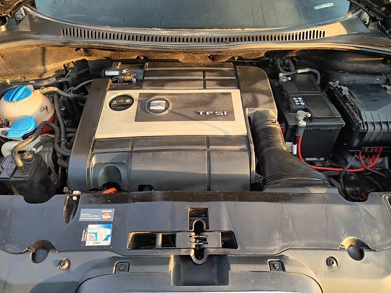 Seat Altea (2008) 2.0 147Kw Freetrack 4x4!!! - fotka 46 z 48
