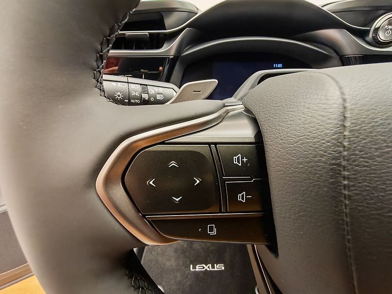Lexus Ostatní 500e Prestige - fotka 21 z 45