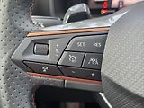 Cupra Formentor 2,0 TSi DSG 4x4 Tažné z. Záruk - náhled 14