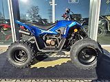 Linhai ATV 100 LH (2026) ATV 110 - náhled 40