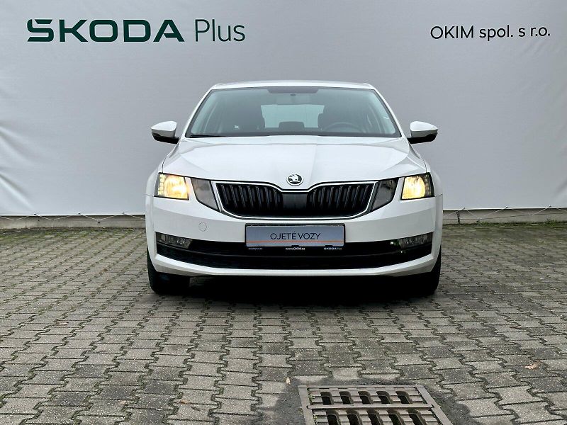 Škoda Octavia (2018) 1.6 TDI 85kW DSG Ambition Fres - fotka 4 z 22