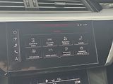 Audi e-tron (2020) Quattro 230kW Advanced, PANO - náhled 37