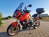 Triumph Tiger 1050 (2008) - náhled 3