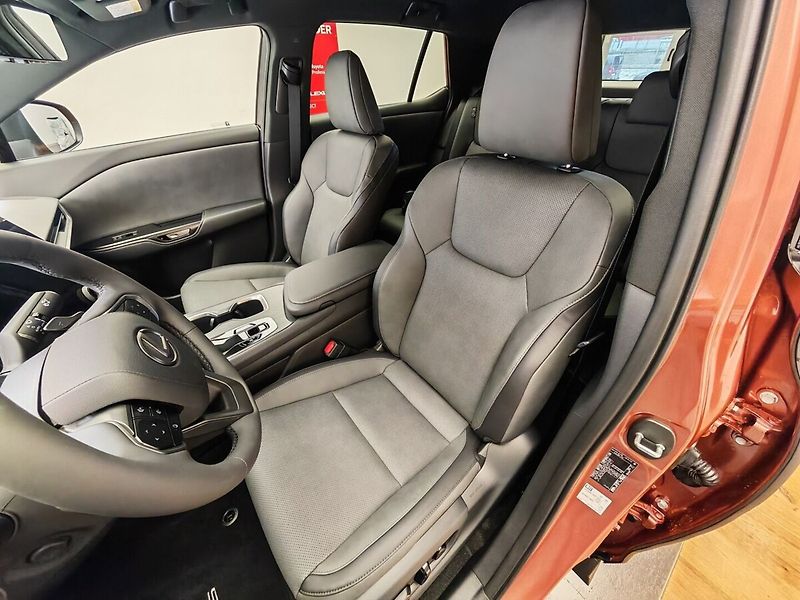 Lexus Ostatní 500e Prestige - fotka 37 z 45