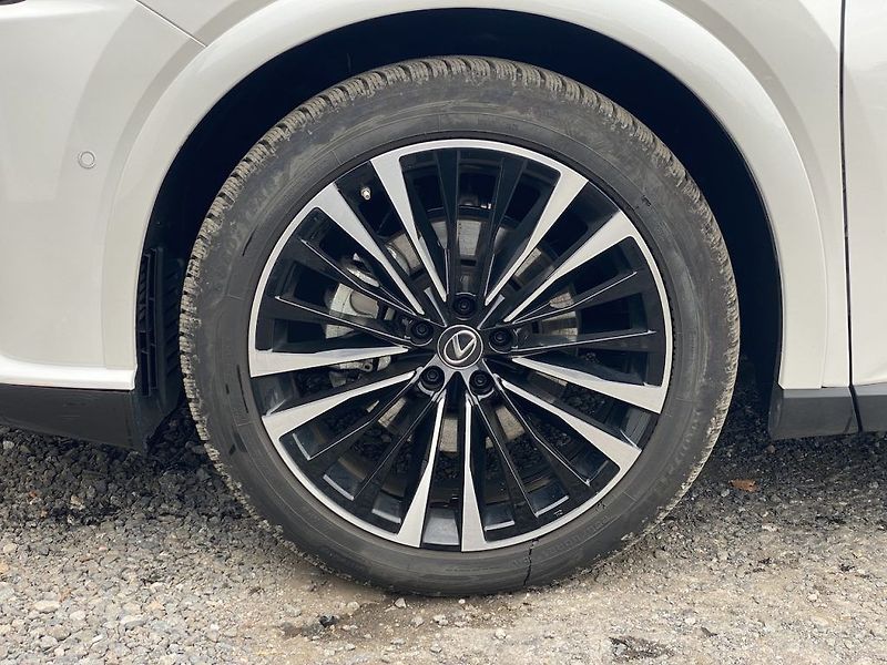 Lexus RX 450h 2.5Plug-in, ČR, Luxury, záruka - fotka 32 z 37