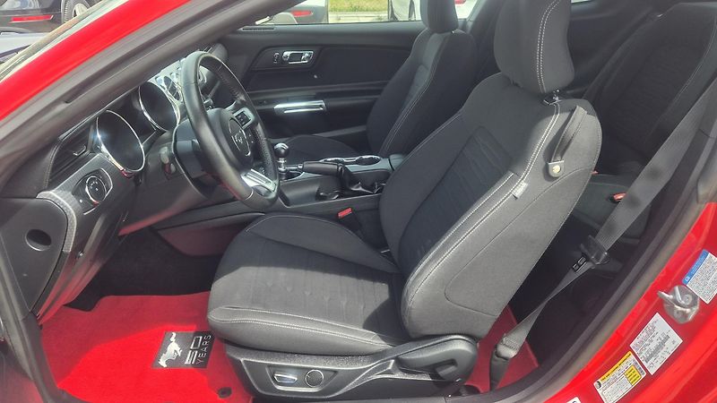 Ford Mustang 2.3T  50 Years Edition 233kw - fotka 13 z 19