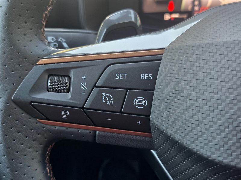 Cupra Formentor 2,0 TSi DSG 4x4 Matrix Záruka2 - fotka 15 z 23
